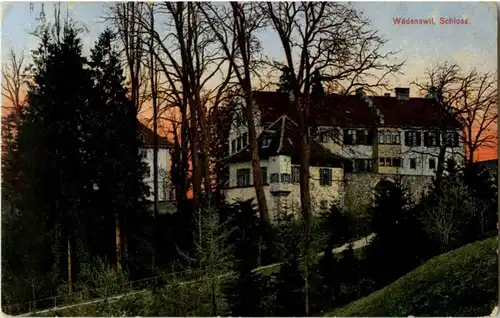 Wädenswil - Schloss -145748