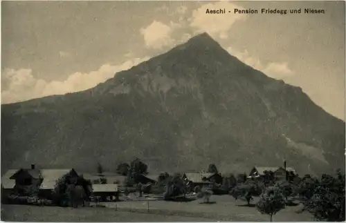 Aeschi - Pension Friedegg -146008