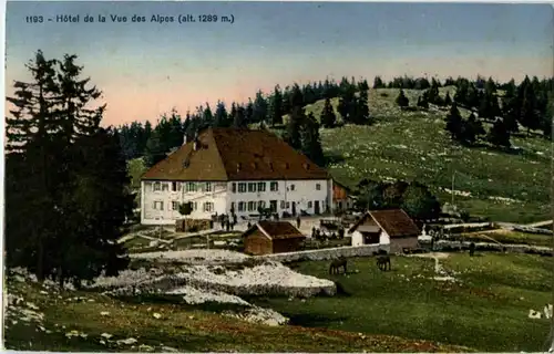 Hotel de la Vue des Alpes -146420