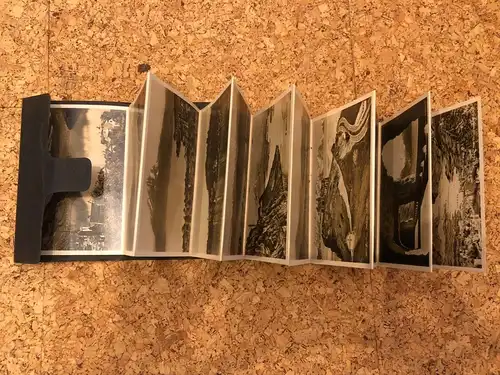 Weggis 12 Postkarten -189298