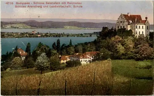 Schloss Salenstein mit Reichenau -146306