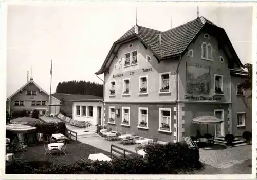 Wald - Kurhaus Tanne -147716