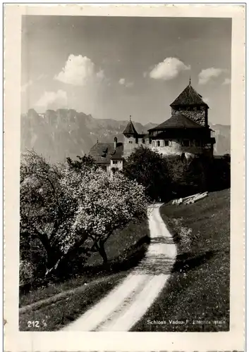 Schloss Vaduz - Liechtenstein -106648