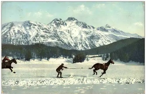 Skikjöring - Pferd mit Skifahrer -106780