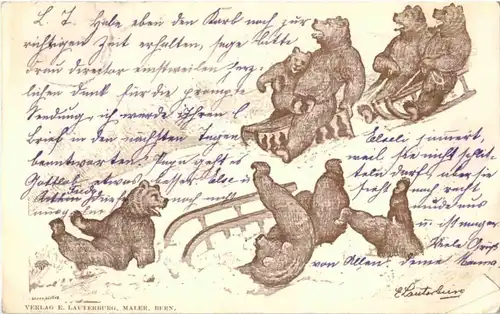 Bern - Bären - Bear -146984