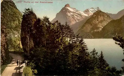 Partie an der Axenstrasse -145576