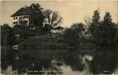 Schloss Mauensee -145862