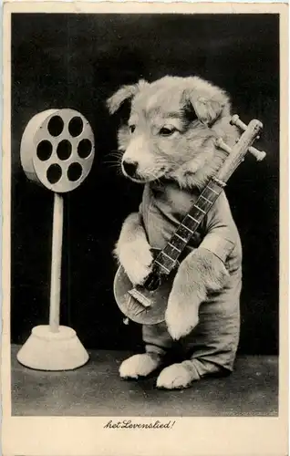 Hund spielt Gitarre -149636