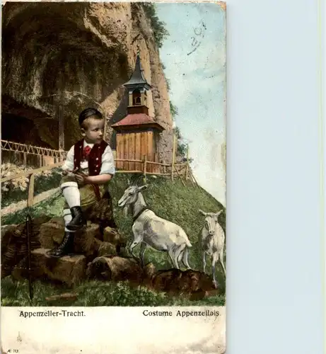 Appenzeller Trachten - Ziege Goat - Wildkirchli -148198