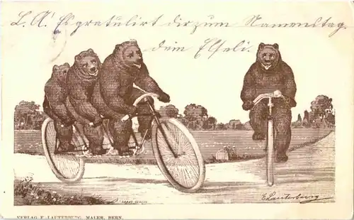 Bern - Bären - Bear - Fahrrad -146980
