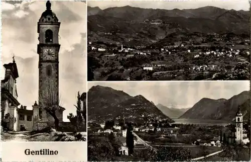 Gentilino -151284