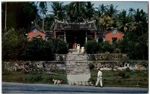 Penang - Snake Temple -109990