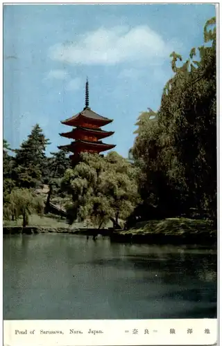 Nara - Pond of Sarusawa -110046