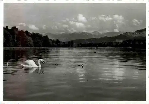 Strandbad Altenrhein bei Rorschach -152074