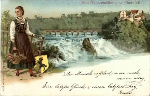 Schaffhausen - Rheinfall -150622