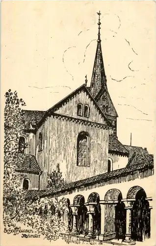 Schaffhausen - Münster -150400