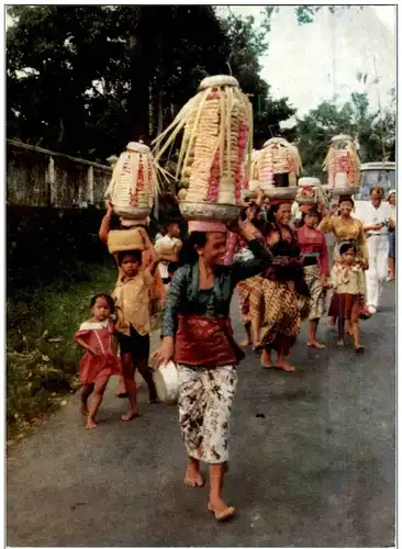 Bali - Opfergaben werden zum Tempel gebracht -110454