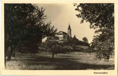 Alte Büdinger Kirche -150824