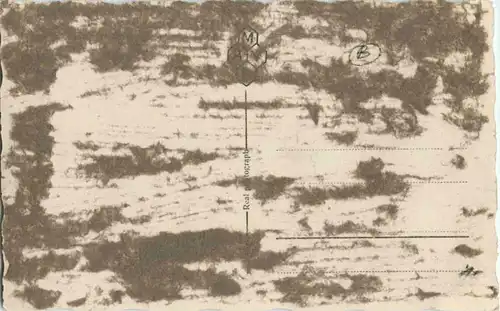 Lavandaie ticinesi -151630