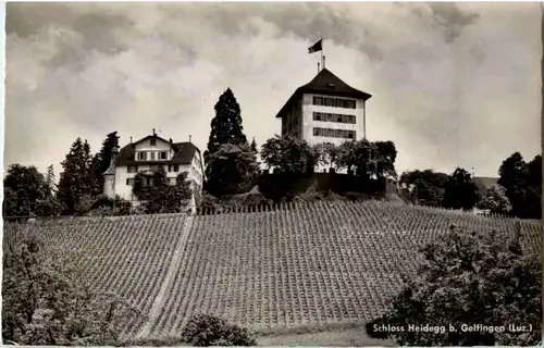 Schloss Heidegg bei Gelfingen -153484