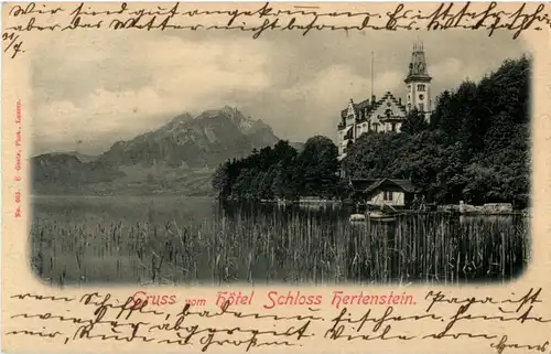 Luzern - Gruss vom Hotel Schloss Hertenstein -153232