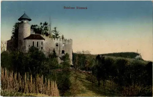 Schloss Birseck -153756