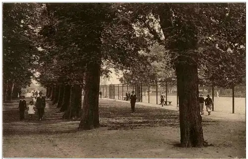 Hamburg - Hammer Park - Allee mit Tennisplatz -112716