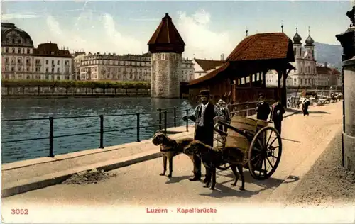 Luzern - Hundekarren -153378