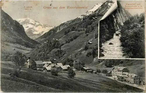 Weisstannnen - Gasthaus zur Gemse -152770