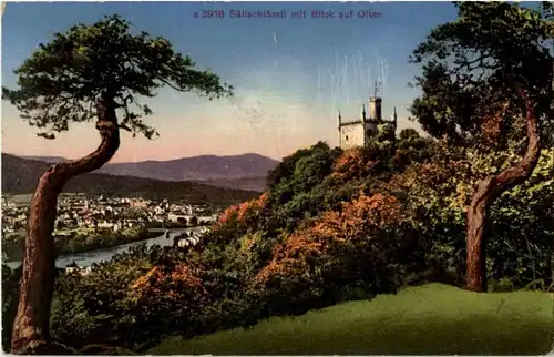 Sälischlössli mit Blick auf Olten -153632