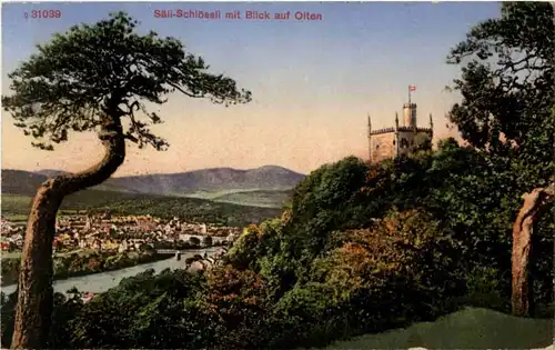 Säli Schlössli mit Blick nach Olten -153742