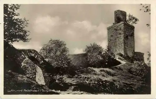 Falkenstein im Taunus - Ruine -155164