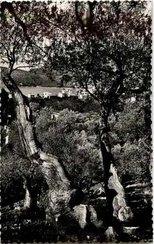 Palma de Mallorca - Puerto de Soller -154758