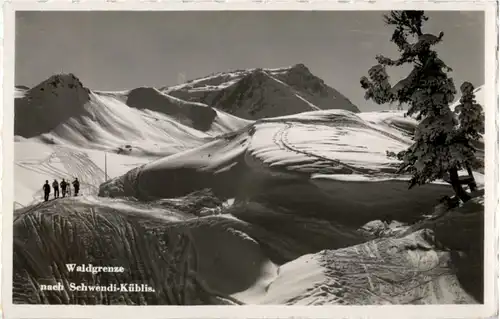 Waldgrenze nach Schwendi Küblis -155012