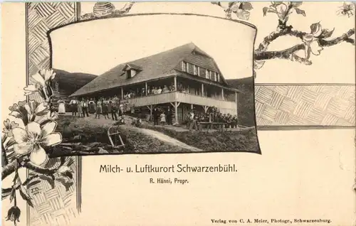 Schwarzenbühl -156852