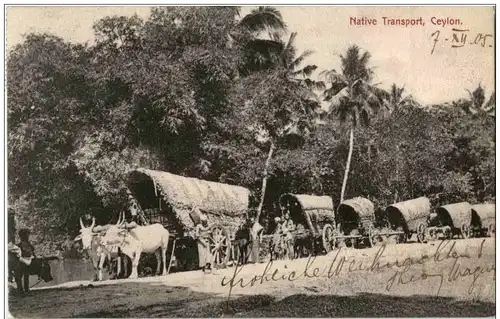 Ceylon - Native Transport -115598