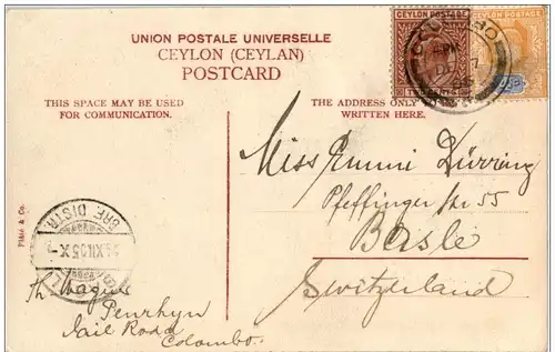 Ceylon - Native Transport -115598