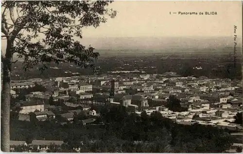 Panorama de Blida -155558