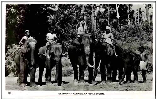 Ceylon - Elephant Parade Kandy -115734