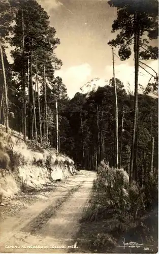 Camino al Nevado de Tollica -155860
