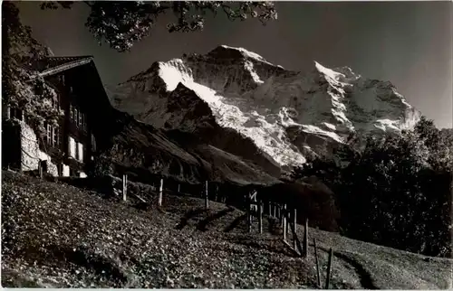 Wengen -157428