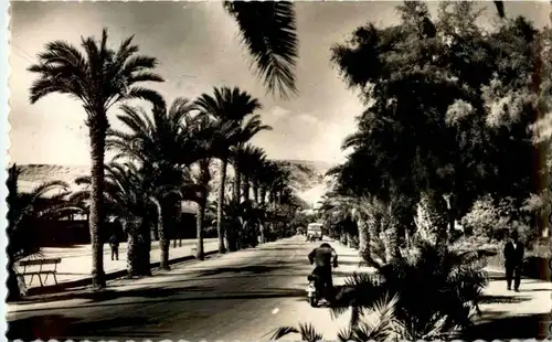 Almeria - Paseo del Puerto -155372