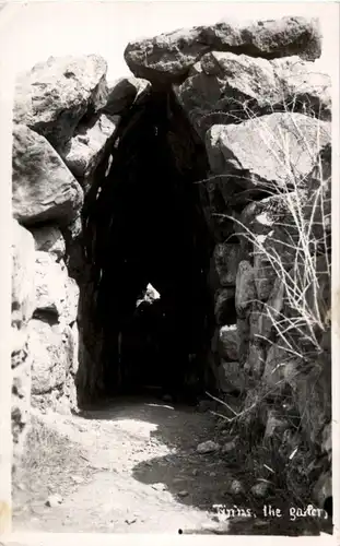 Tirins - The Garden -155540