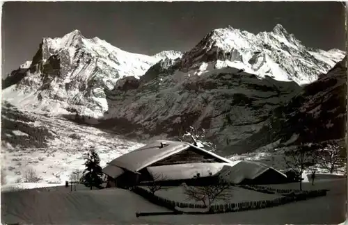 Grindelwald -157656
