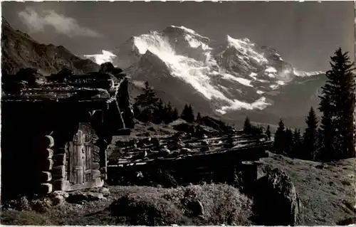 Wengen -157426
