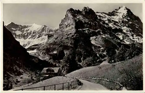 Grindelwald -157636