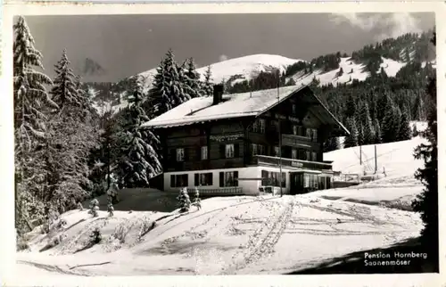 Saanenmöser - Pension Hornberg -158992