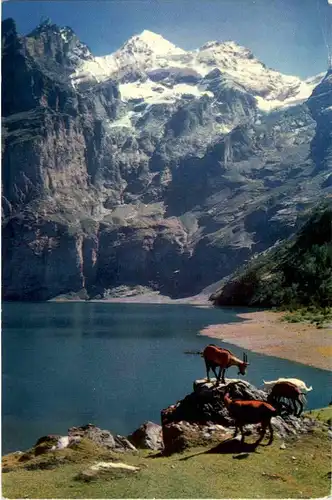 Kandersteg Oeschinensee -159240