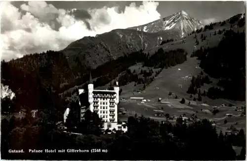Gstaad - Palace Hotel -157880