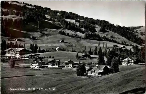 Saanenmöser -158118